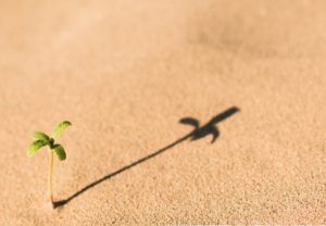 シャドーイングとは…効果、手順、やり方やコツは？おすすめの教材は