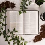 英語の単語力、語彙力を増やす方法!おススメのアプリと10のコツ